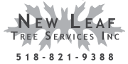 New Leaf